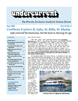 Undercurrent June Issue