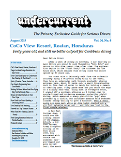 Undercurrent August Issue