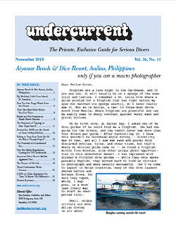 Undercurrent November Issue