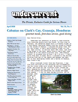 Undercurrent April Issue