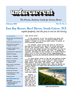 Undercurrent October Issue