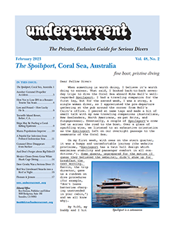Undercurrent February Issue