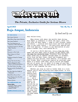 Undercurrent April Issue
