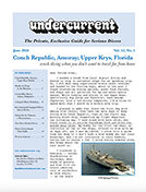 Undercurrent current issue