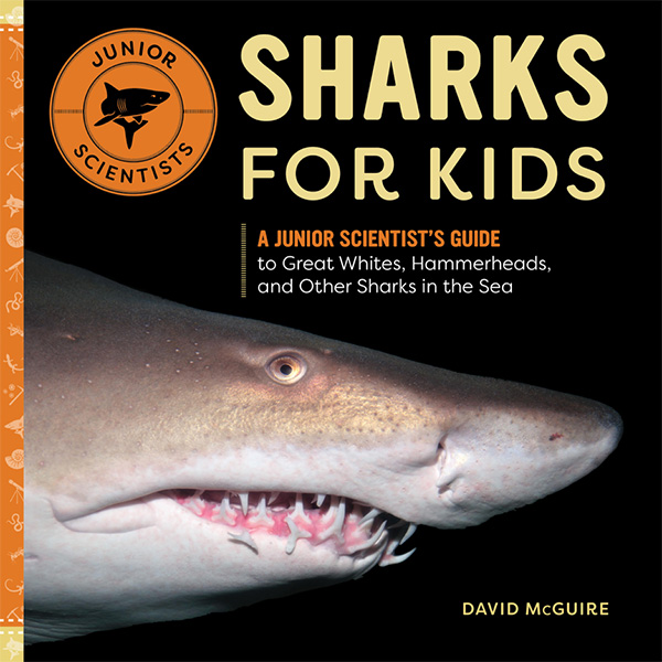 Sharks for Kids Book by marine biologist David McGuire