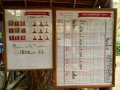 Dive Board