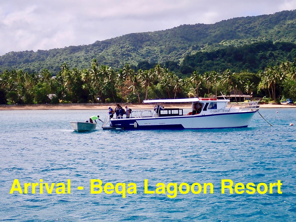 Fiji and Tuvalu/Beqa Island Diving Review of Beqa Lagoon Resort, 2019/11