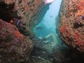 Isla Pacheca diving