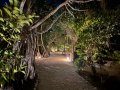 Pathway