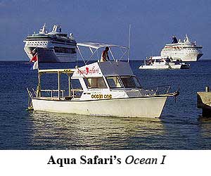 Aqua Safari's Ocean I