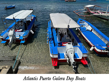 Atlantis Puerto Galera Day Boats
