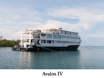 Avalon IV