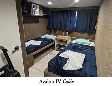 Avalon IV Cabin