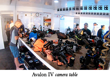 Avalon IV camera table