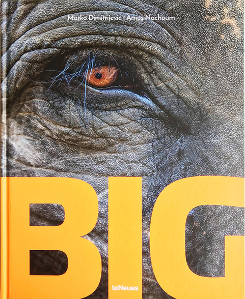 Big; A Photographic Album of the World's Largest Animals