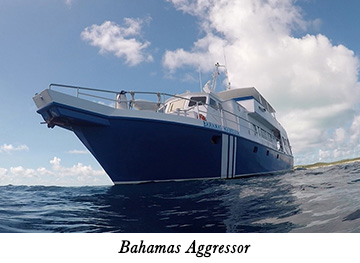 Bahamas Aggressor