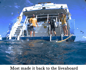 Most made it back to the liveaboard