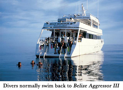 Divers normally swim back to Belize Aggressor III