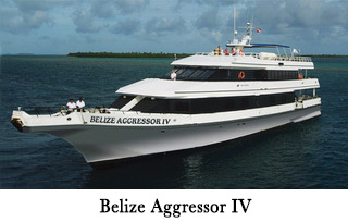 Belize Aggressor IV