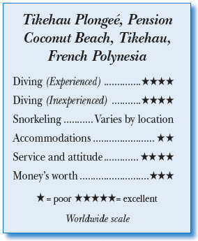 Tikehau Plongeé, Pension Coconut Beach, Tikehau, French Polynesia