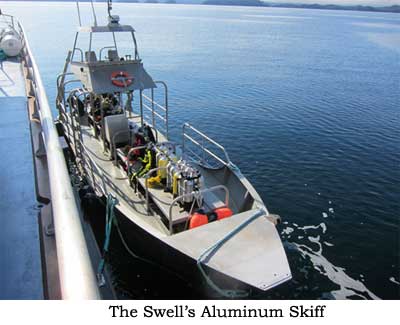 The Swell's Aluminum Skiff