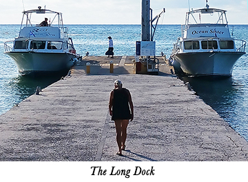 The Long Dock