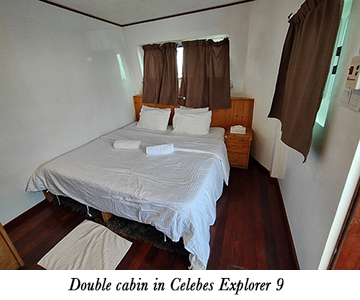 Double cabin in Celebes Explorer 9