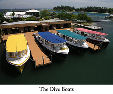The Dive Boats