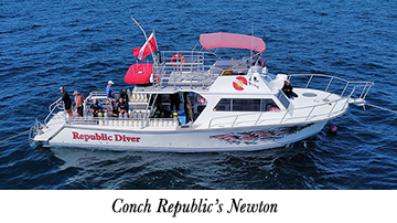 Conch Republic's Newton