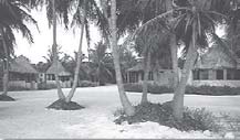 Beachfront palapas at Costa de Cocos