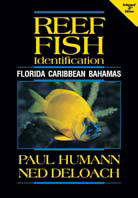 Need a Fish, Coral or Critter ID Book?