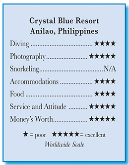 Crystal Blue Resort, Anilao, Philippines - Rating