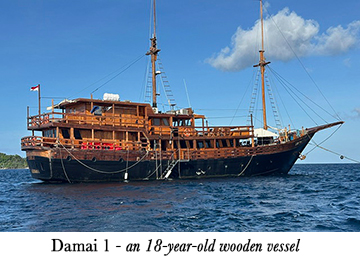 Damai 1 - an 18-year-old wooden vessel