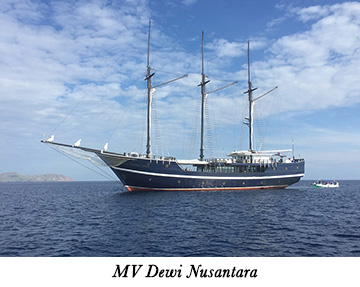 MV Dewi Nusantara