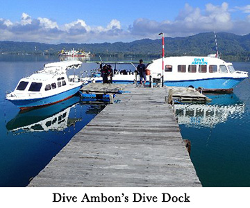 Dive Ambon's Dive Dock