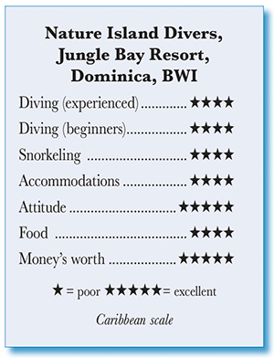 Rating for Nauture Island Divers, Jungle Bay Resort, Dominica, BWI