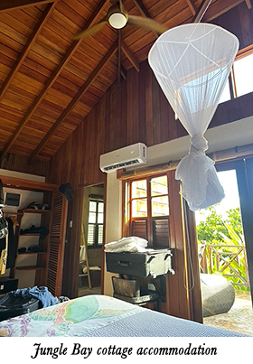 Jungle Bay cottage accommodation