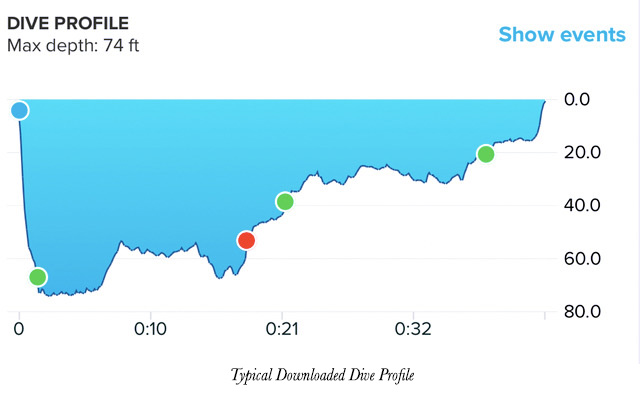 Typical Downloaded Dive Profile