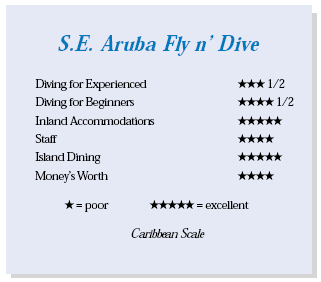 S.E. Aruba Fly n' Dive, the Dutch Caribbean