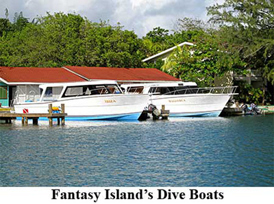 Fantasy Island's Dive Boats