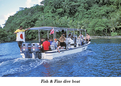 Fish & Fins dive boat