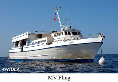 MV Fling