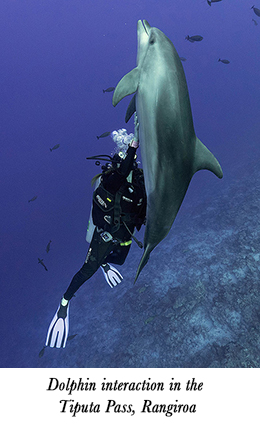 Dolphin interaction in the Tiputa Pass, Rangiroa