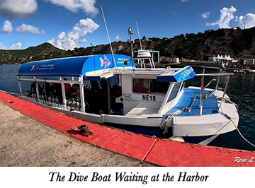 The Dive Boat Waiting at the Harbor