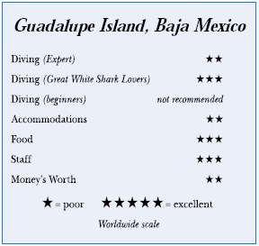Guadalupe Island, Baja Mexico