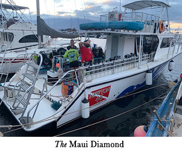 The Maui Diamond