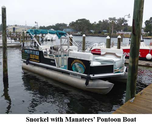Snorkel with Manatees' Pontoon Boat