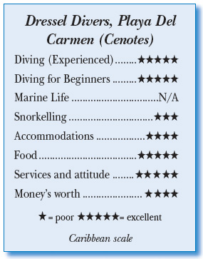 Rating for Dressel Divers, Playa del Carmen (Cenotes)
