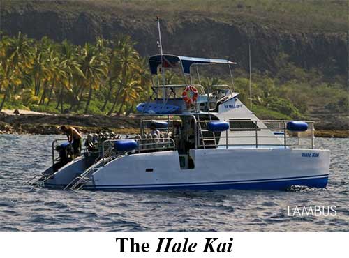 The Hale Kai