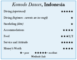 Komodo Dancer, Flores Sea, Indonesia